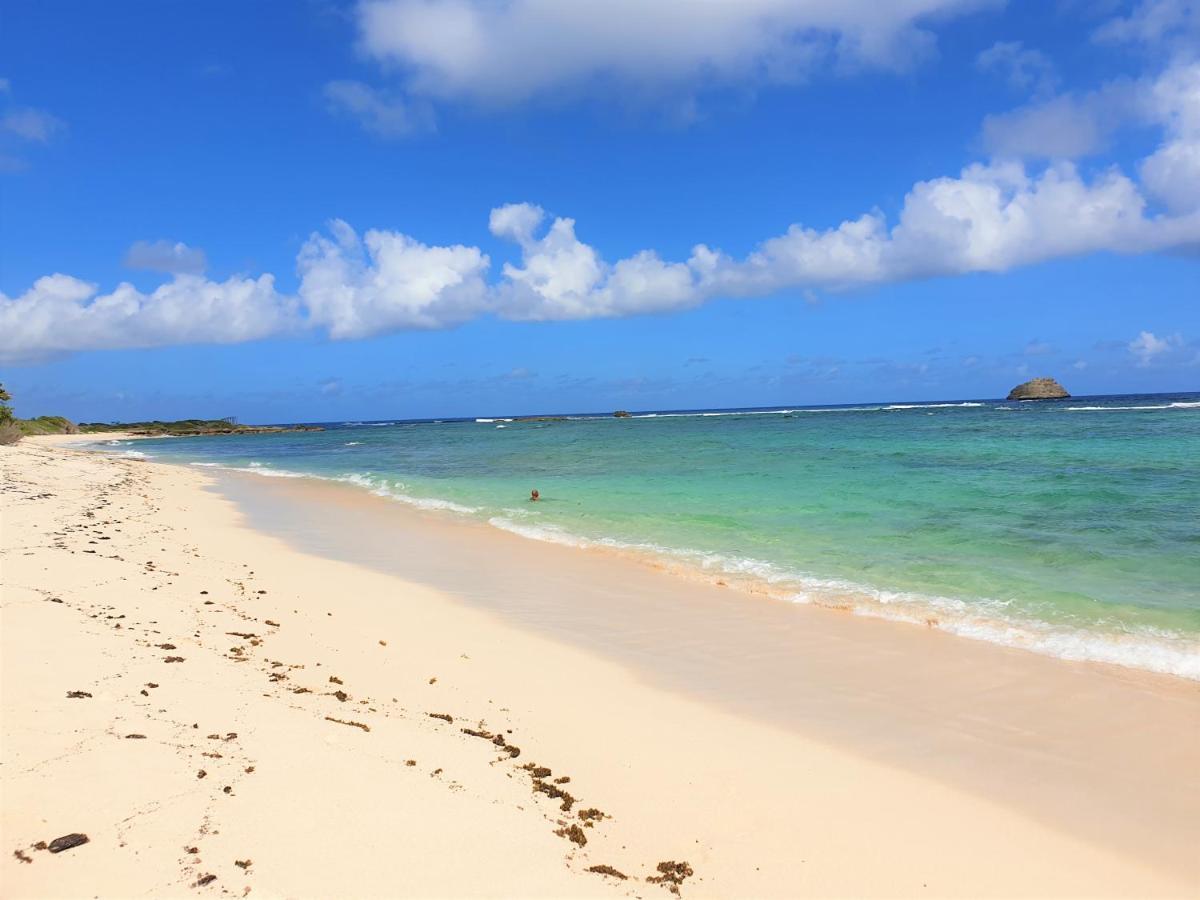 Villa Guadeloupe Saint Francois Acces Mer Piscine Iguana Bay - Villa Zagadi Экстерьер фото