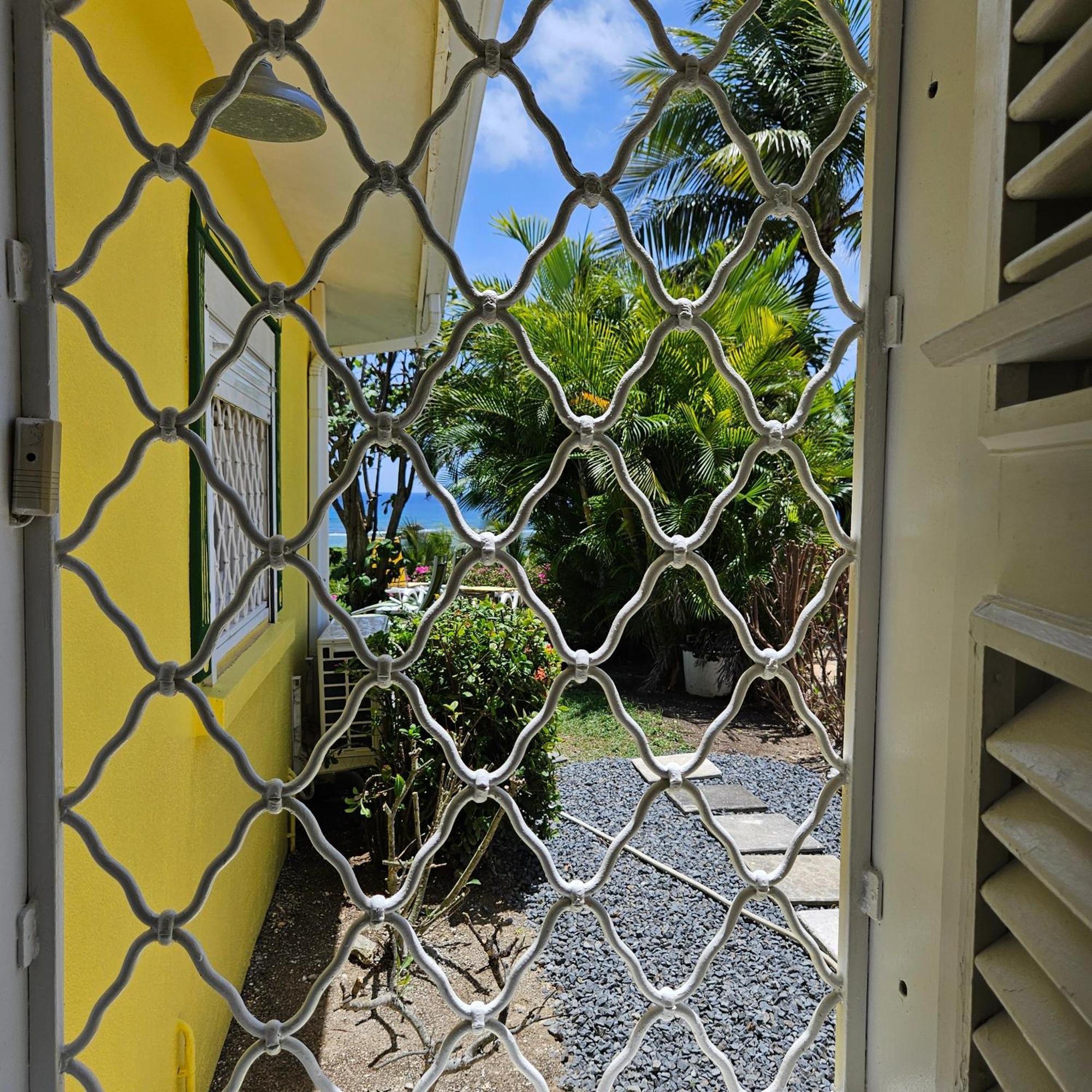 Villa Guadeloupe Saint Francois Acces Mer Piscine Iguana Bay - Villa Zagadi Экстерьер фото