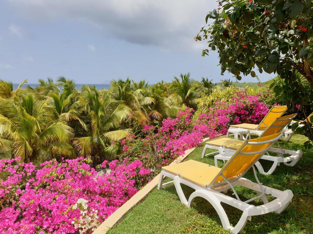 Villa Guadeloupe Saint Francois Acces Mer Piscine Iguana Bay - Villa Zagadi Экстерьер фото