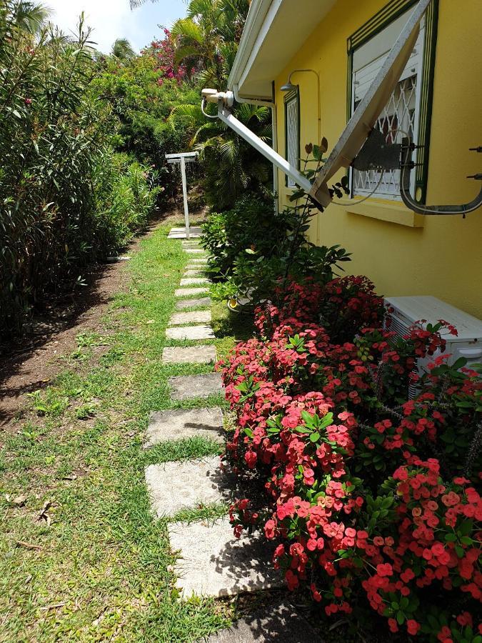 Villa Guadeloupe Saint Francois Acces Mer Piscine Iguana Bay - Villa Zagadi Экстерьер фото